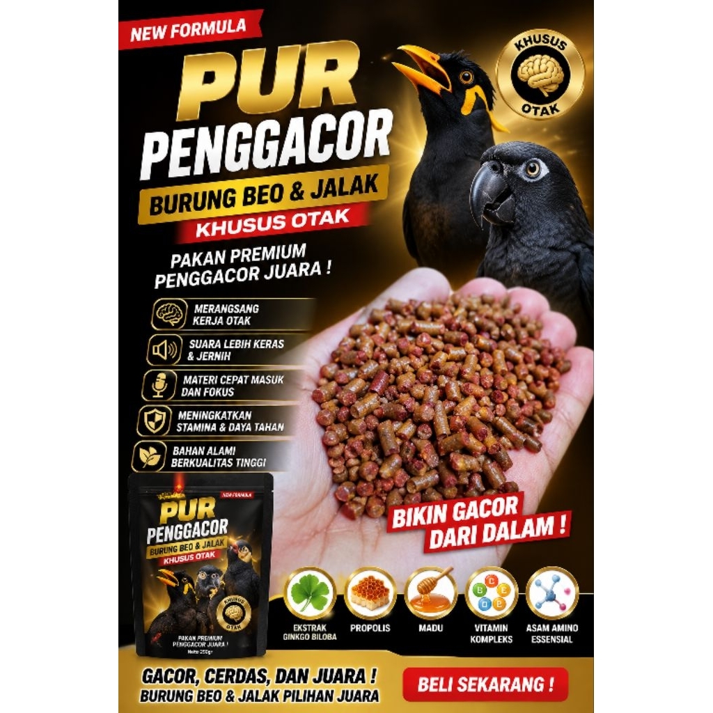 PUR khusus otak beo jalak penggacor burung