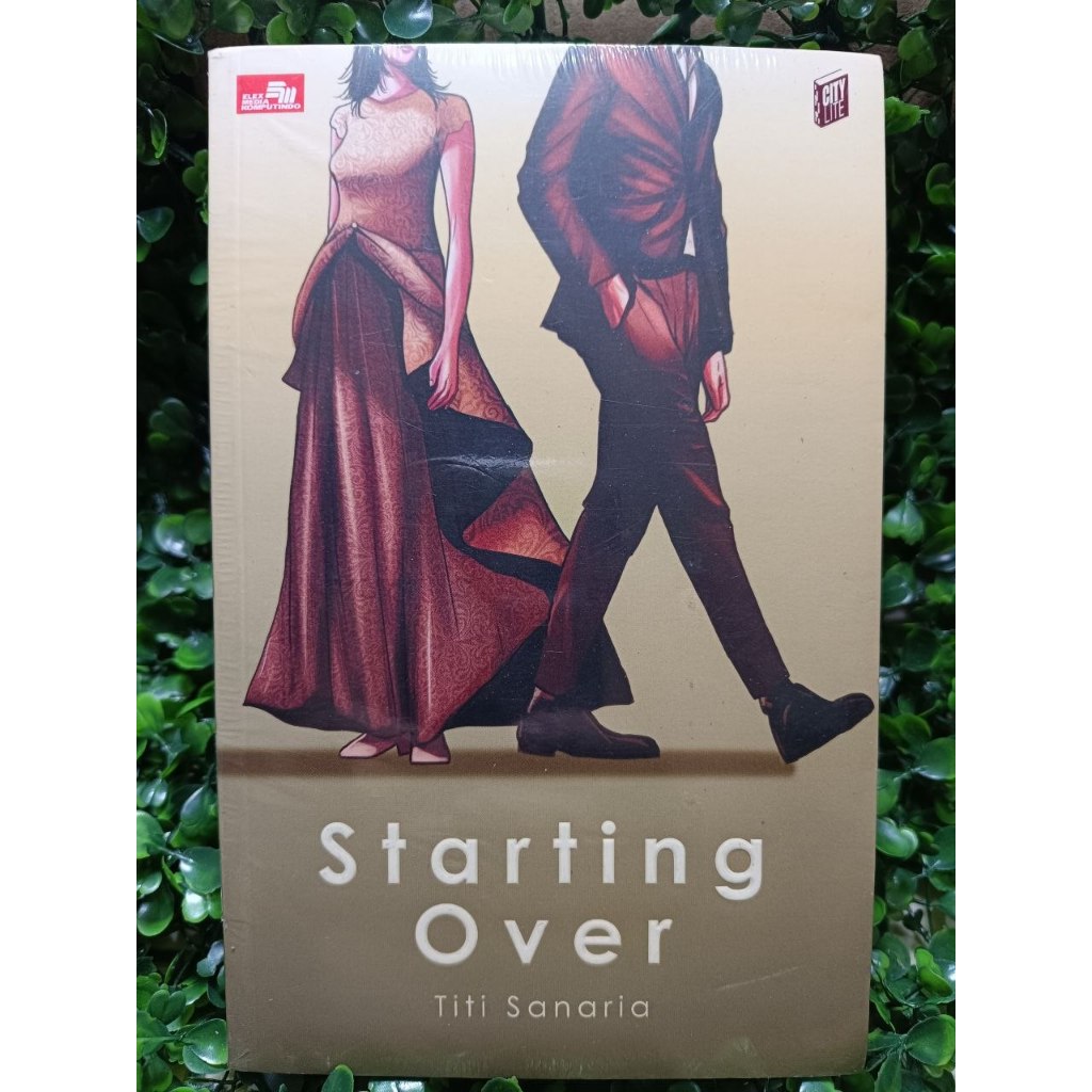 buku romance novel Starting Over - Titi Sanaria
