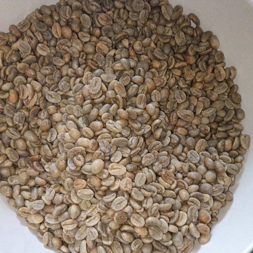 Green Bean Arabika Ijen Natural Grade 1
