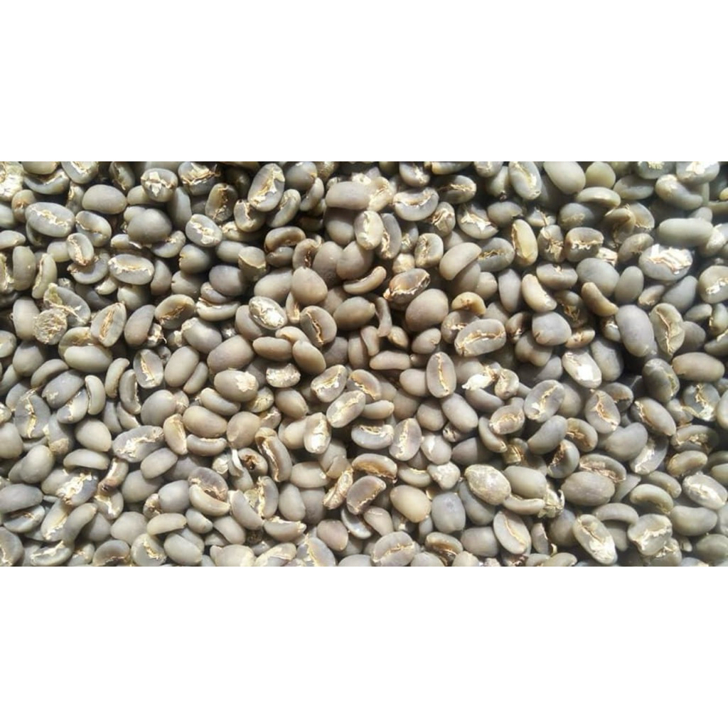 Biji kopi greenbean arabika gayo aceh