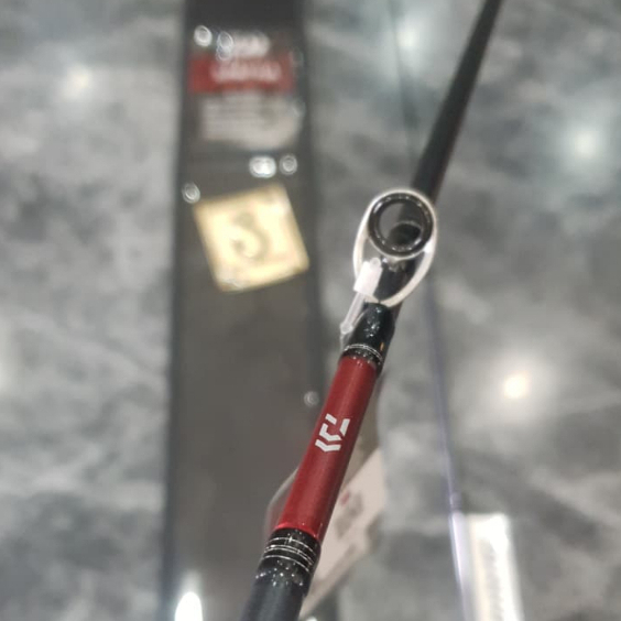 JORAN BAITCASTING DAIWA 25 SPATHA