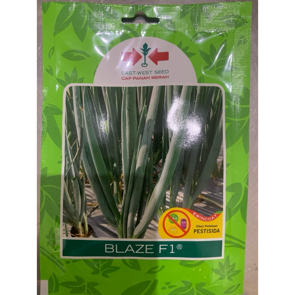 Blaze-benih daun bawang isi 800 butir
