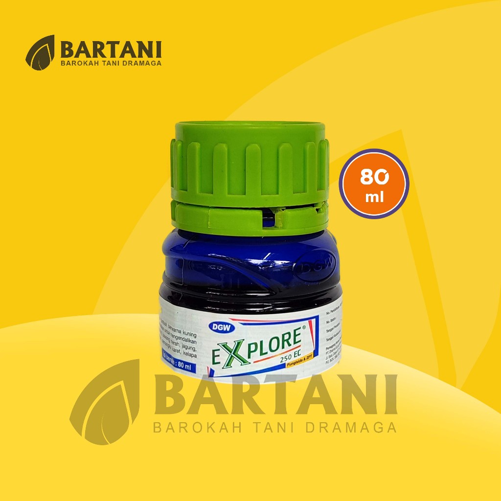 ZPT PLUS FUNGISIDA EXPLORE DGW 80 ML