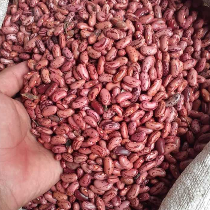 Kacang Merah / Kacang Merah Super / Kacang Merah Jogo Import 1kg