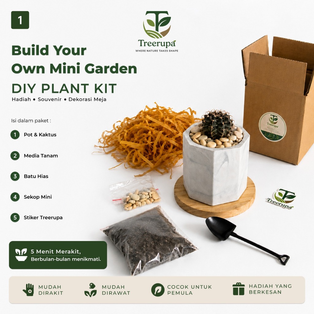 Treerupa DIY Plant Kit Kaktus Mini Mickey Mouse Putih Series | Tanaman Hias | Souvenir Tanaman | Dek