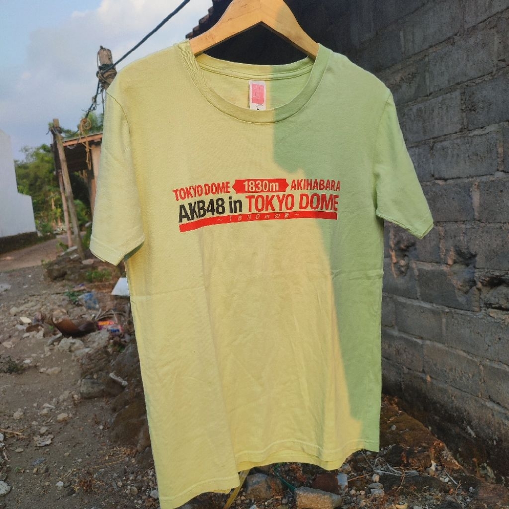 T-Shirt Kaos AKB48 in Tokyo Dome