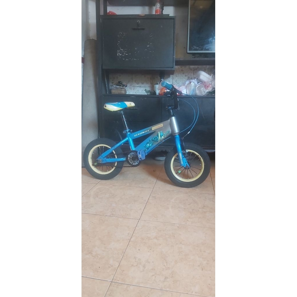 sepeda anak element