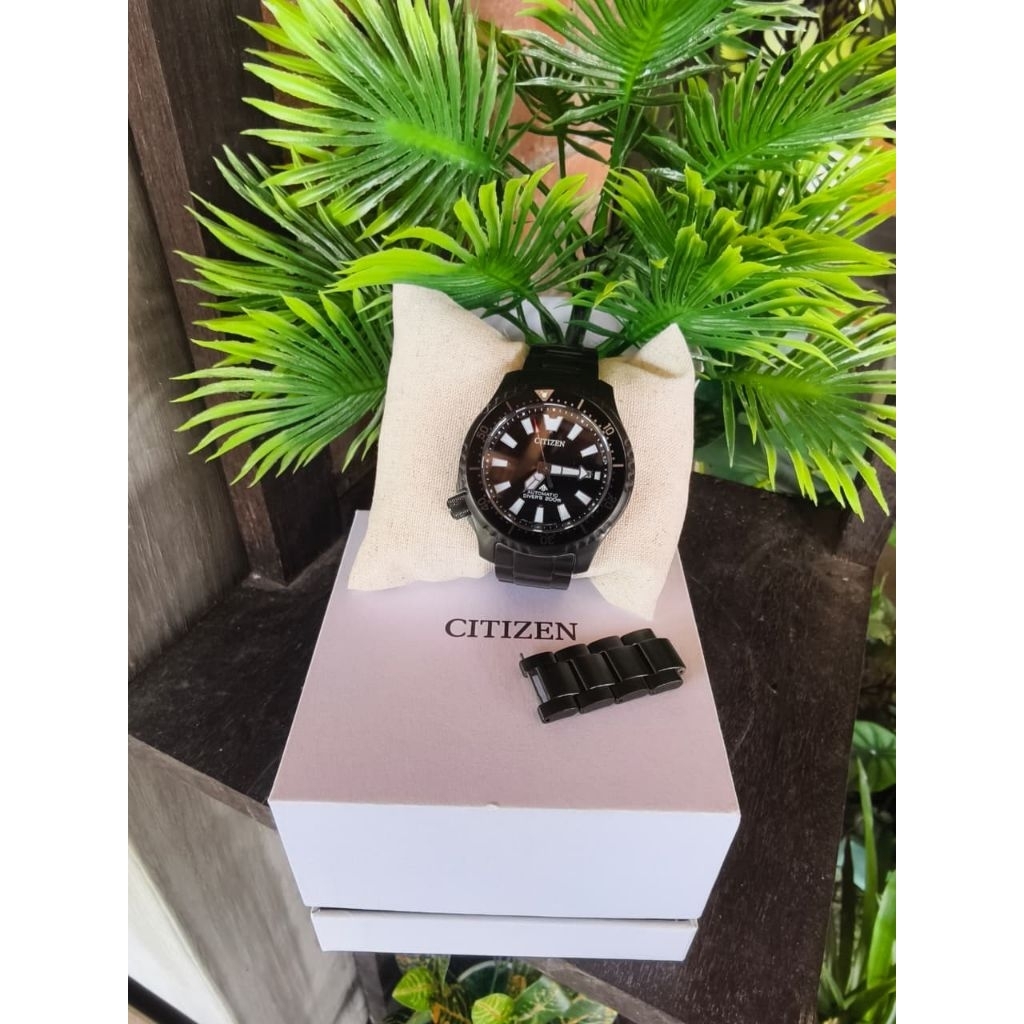 Citizen Diver Fugu
