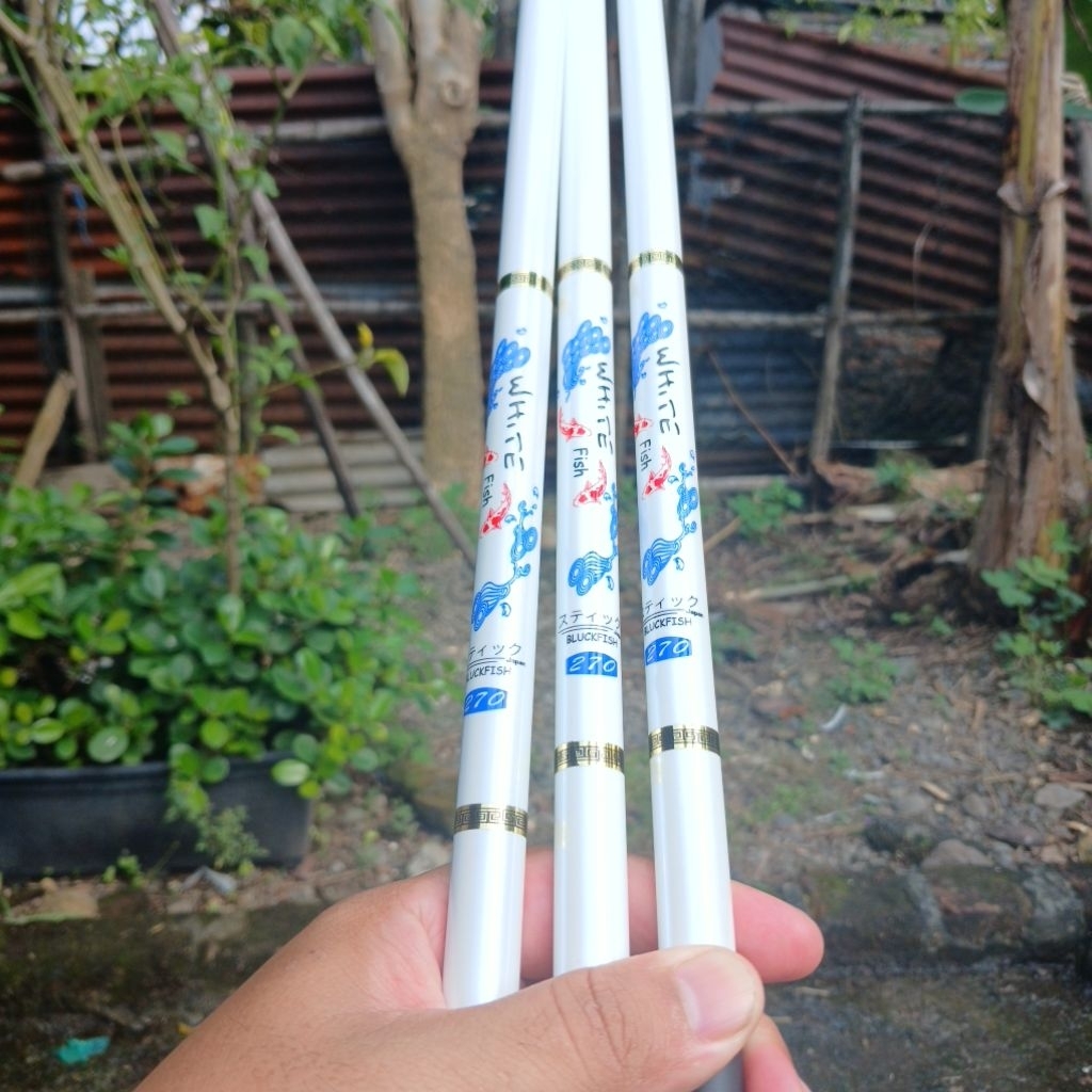 Tegek White Fish 270 8h Free packing pipa
