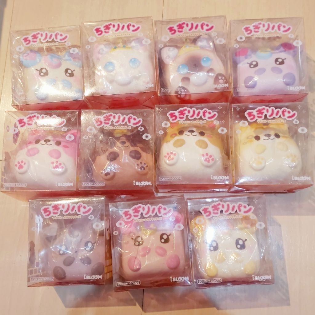 [READY STOCK] IBLOOM SQUISHY CHIGIRI