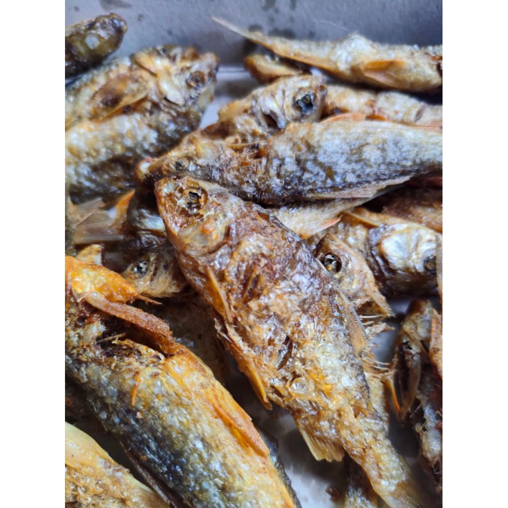 TERLARISS!! IKAN WADER GORENG FRESS || IKAN WADER SUNGAI FRES GORENG