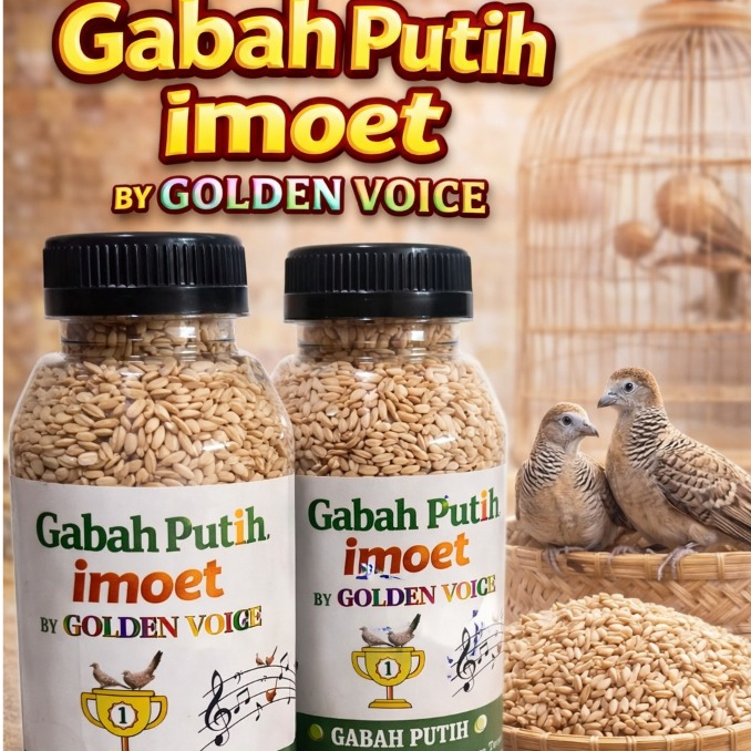 gabah putih premium botol