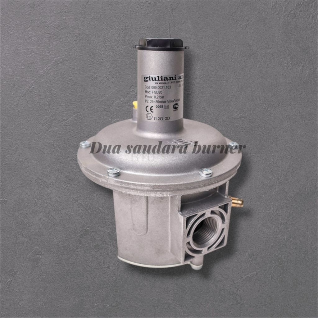 Gas Regulator FGD20 GIULIANI ANELLO