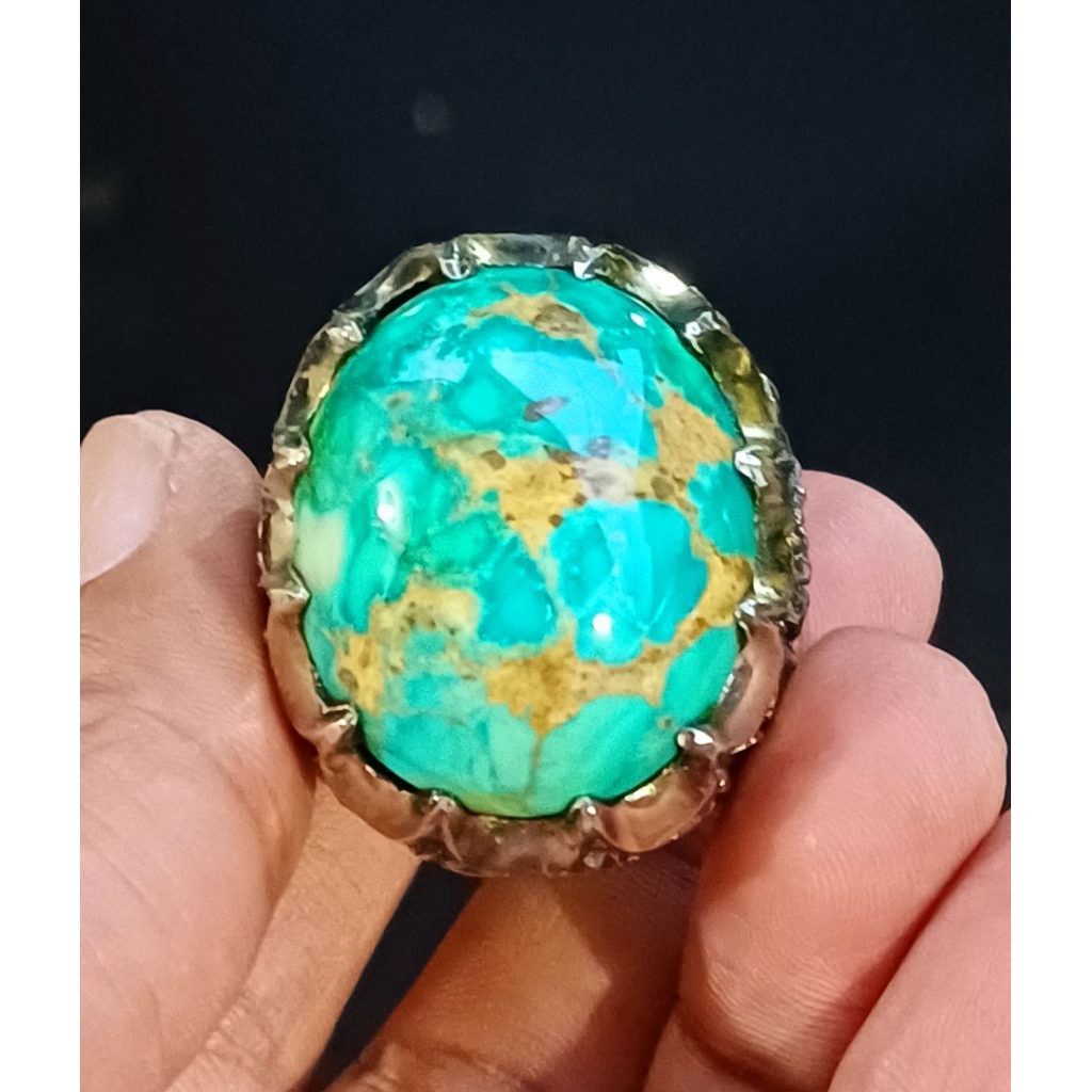 Pirus Persia Urat emas jenong Lawasan hijau 2025