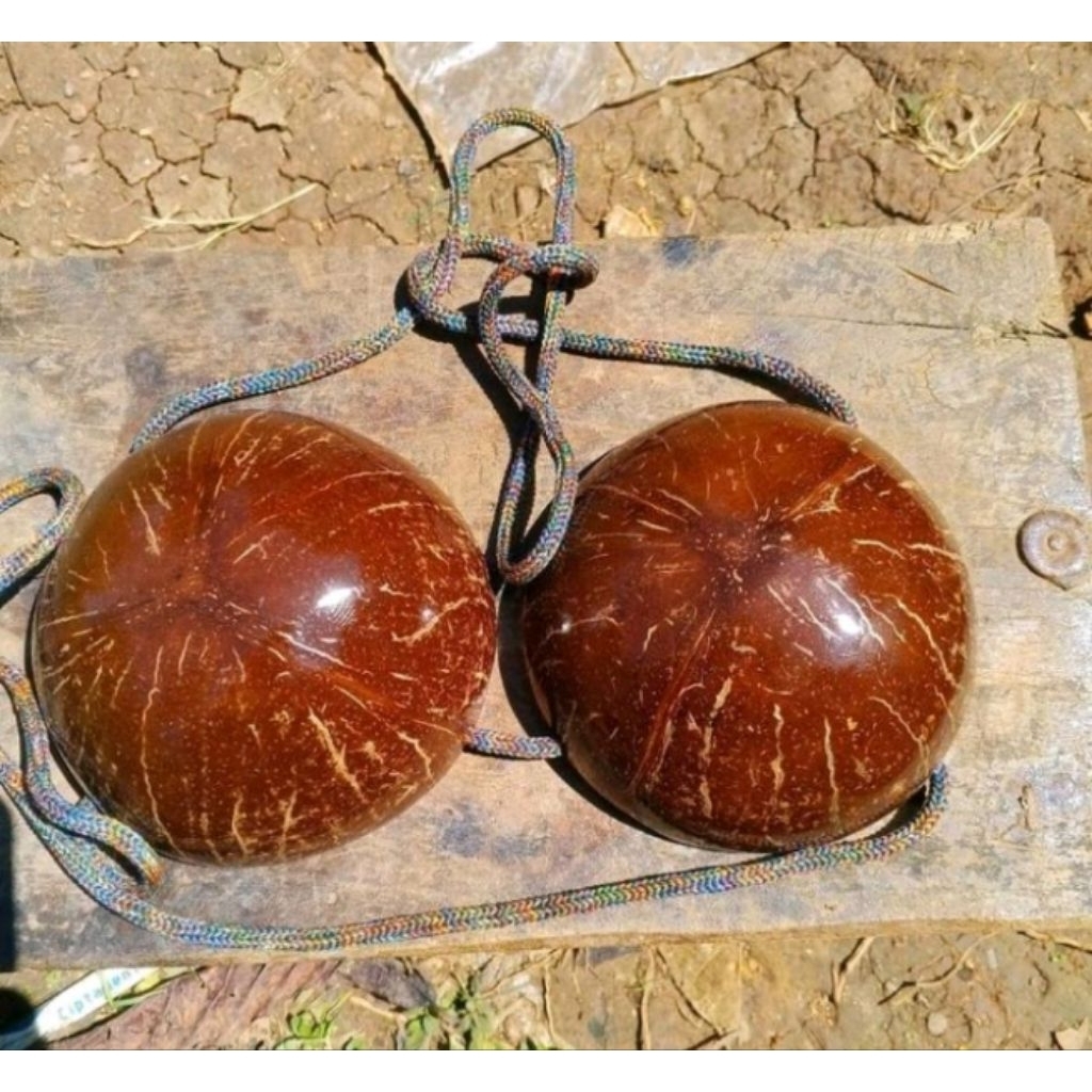 jual bra batok/BH tempurung kelapa satu pasang