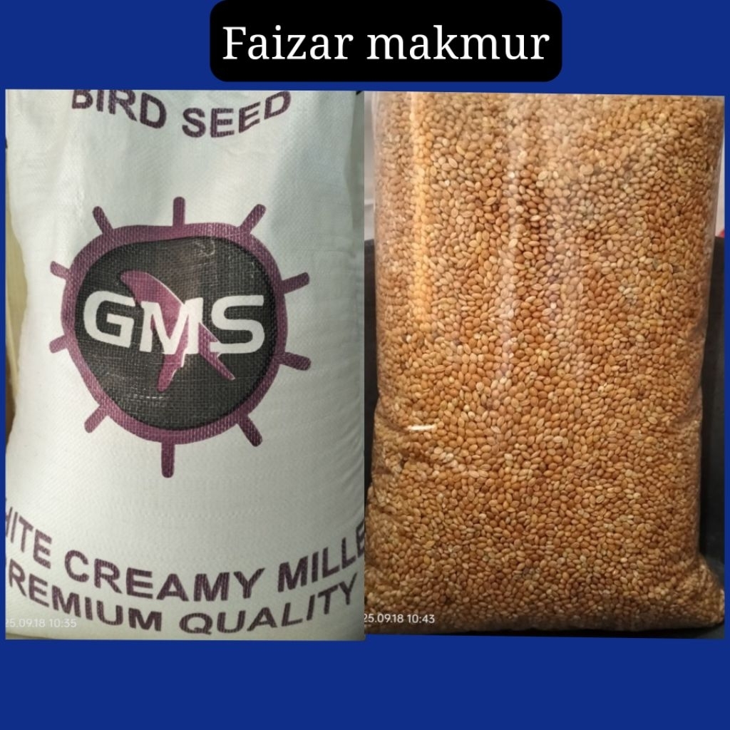 Miled kuning pakan kenari pakan lovebird pakan parkit dll