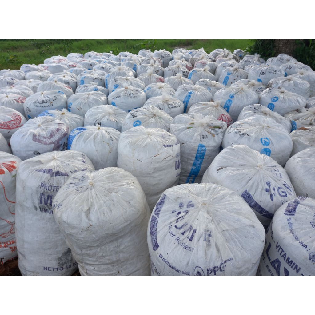 Rumput cacah / pakan ternak / pakchong / silase