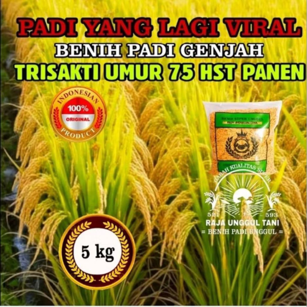 BENIH PADI TRISAKTI GENJAH MALAI Panjang berkualitas kemasan 5 kg