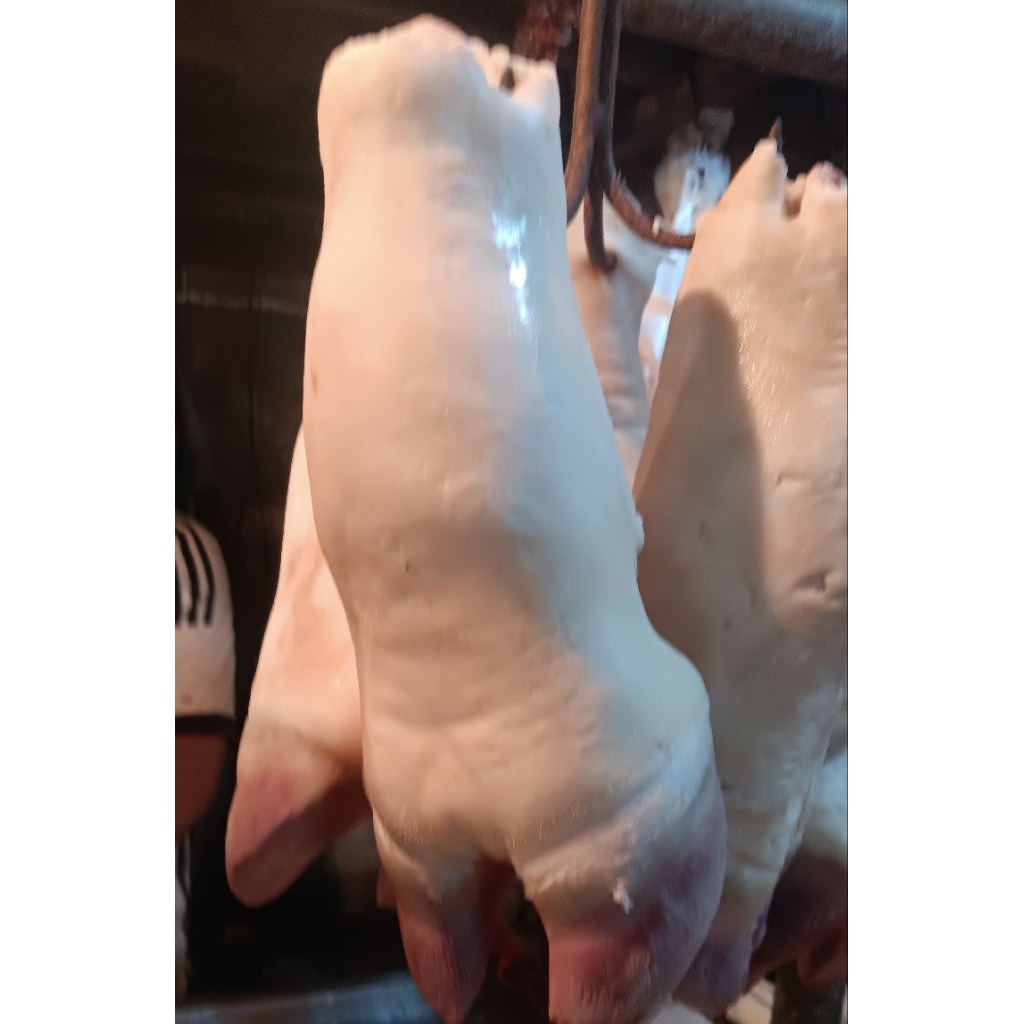 kikil kaki sapi baru 1kaki