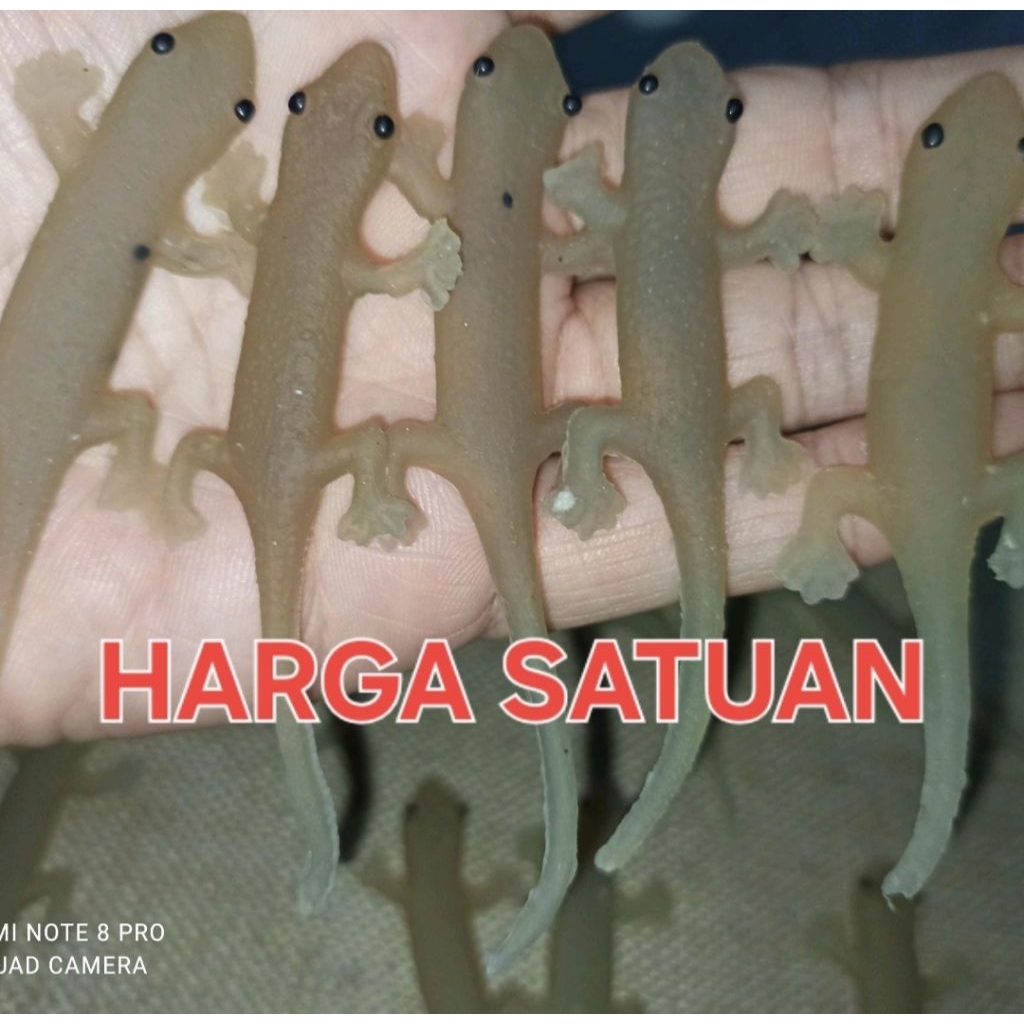 mainan cicak karet reject