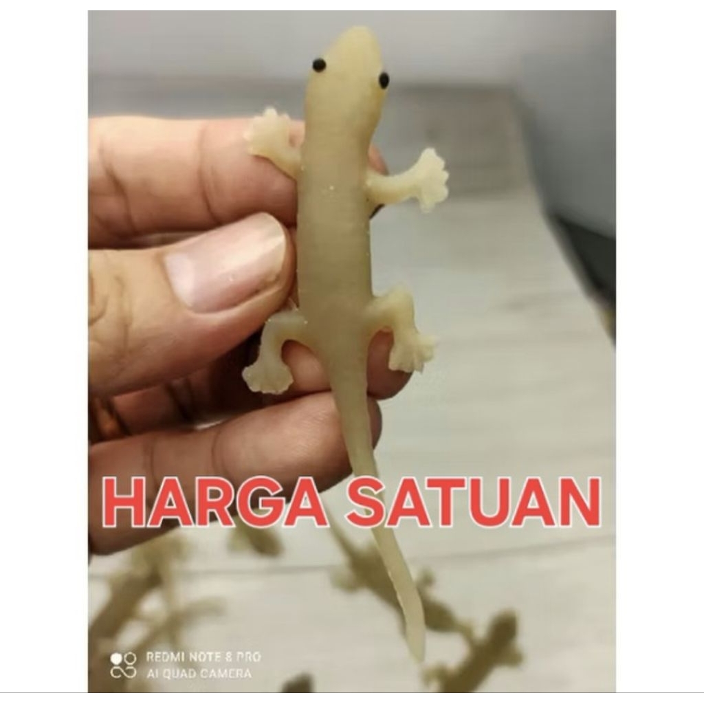 Mainan karet cicak abu abu