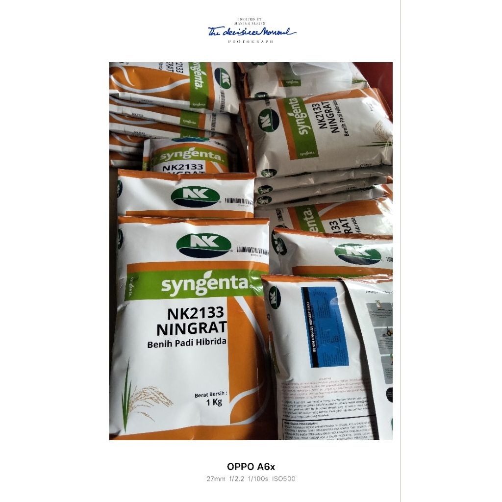 (1KG) BENIH BIBIT PADI NINGRAT NK2133 BENIH PADI HIBRIDA SUPER BERKUALITAS UNGGULAN ORIGINAL COD