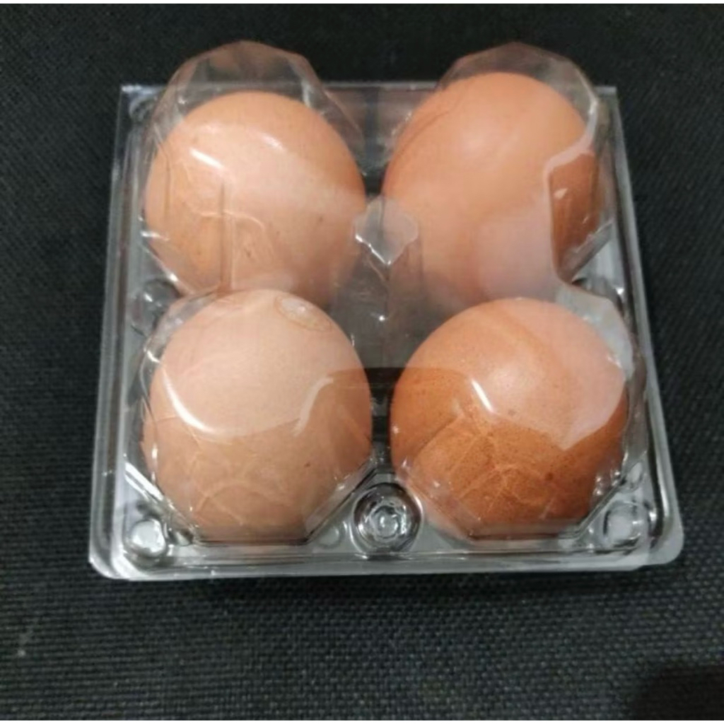 50Pcs Mika Isi 4Butir Dengan Sistem Pengunci Mika Telur