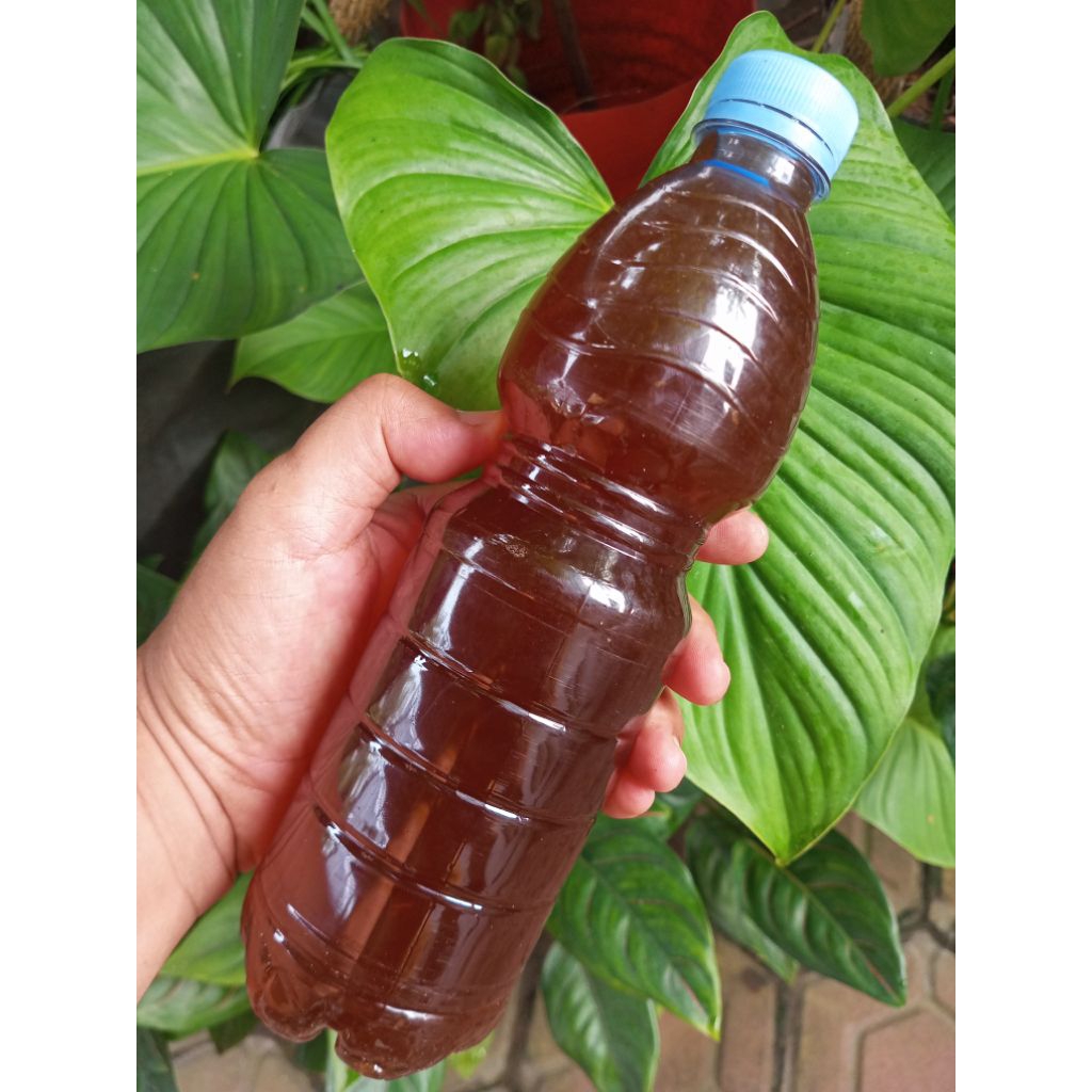 Bakteri Pengurai Bau