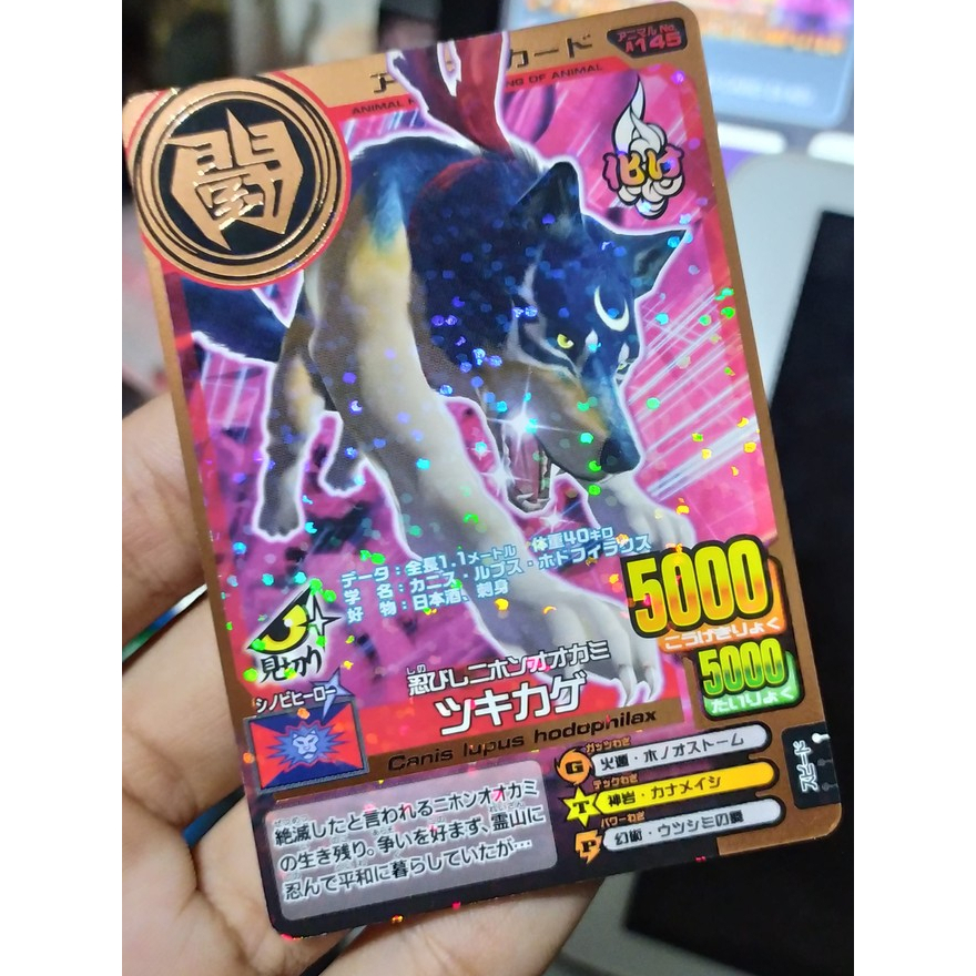 Animal Kaiser Promo Japan Zangetsu