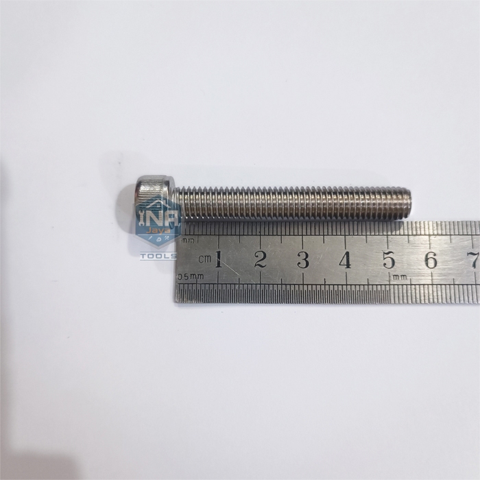 M8 x 55 Baut L Hex Head Socket Stainless 304 M8x55