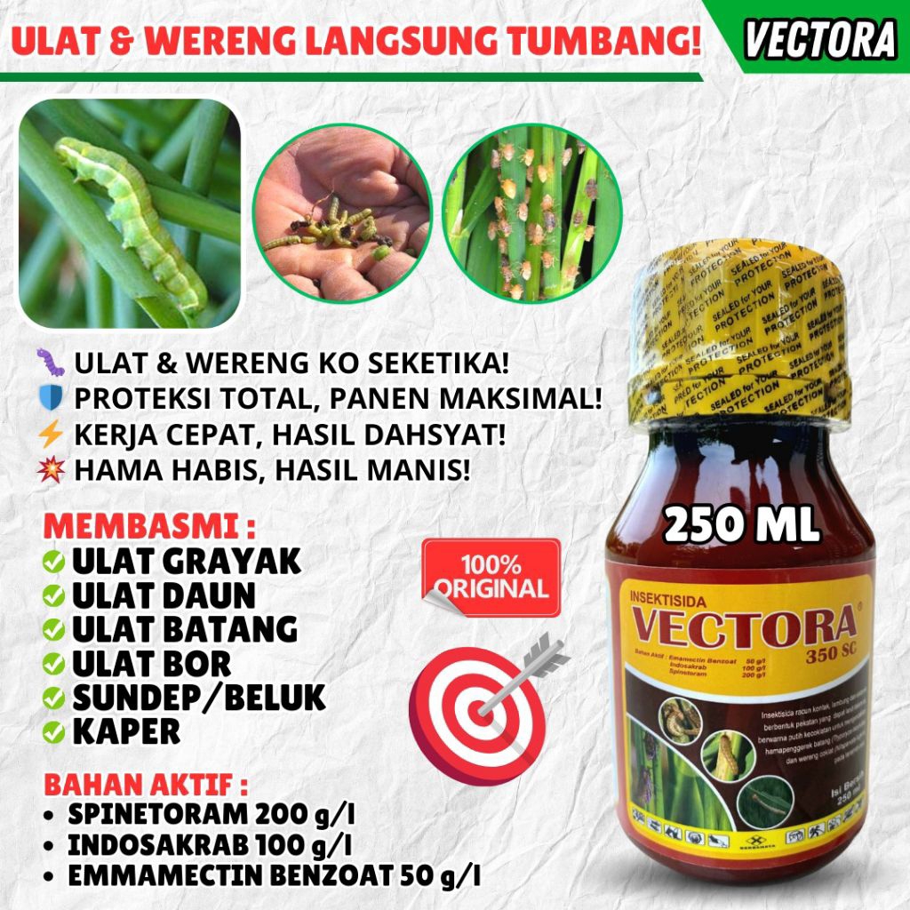 INSEKTISIDA PALING AMPUH BASMI ULAT INsektisida sistemik Insektisida Kontak INSEKTISIDA VECTORA 250 