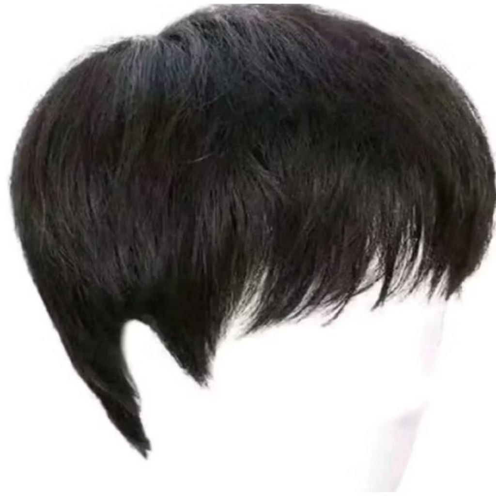 Wig Pria Pendek Korea/Ful Wig Pria Korea Rambut Rambut Palsu