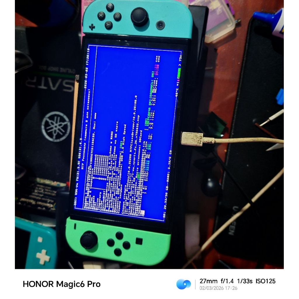 nintendo switch tablet only cfw/ofw 64gb