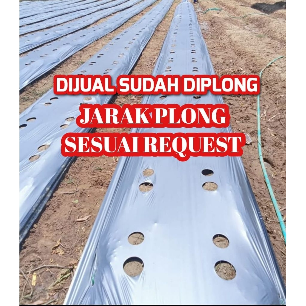 MULSA PLONG / BOLONG / LUBANG