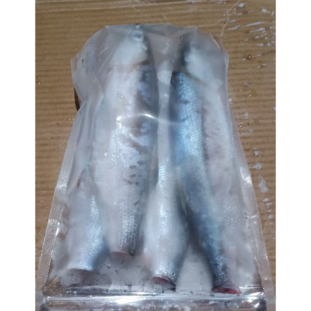 Ikan bandeng frozeen 1kg isi 4 ekor