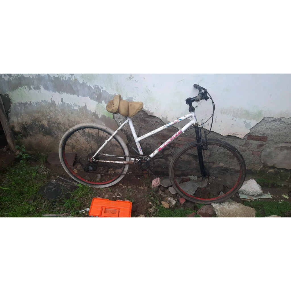 sepeda modelan federal lady