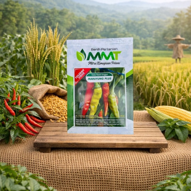 Benih cabai rawit Maruyung plus 500 biji ecer