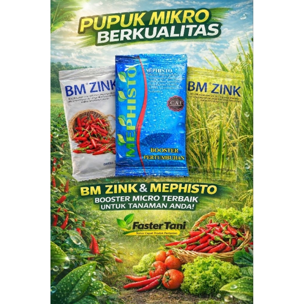 BM Zink & Mephisto 25g Micro Lengkap
