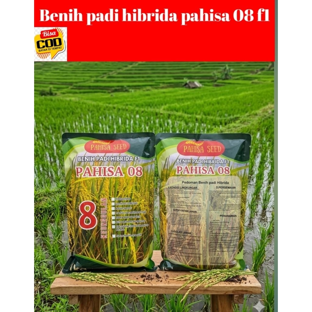 BENIH PADI HIBRIDA PAHISA SEED 08 SPESIAL 1KG