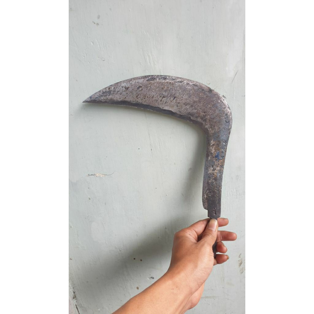 sabit isen muchrodin original | arit rumput