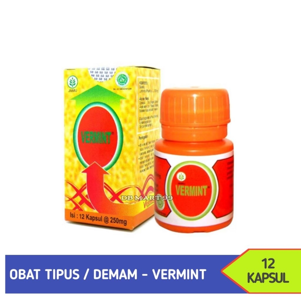 Vermint 12 Kapsul Vermint Obat Tipus Demam Kapsul Cacing