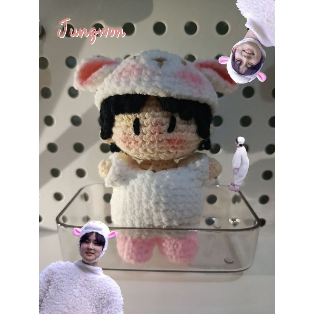 Jungwon Crochet Doll