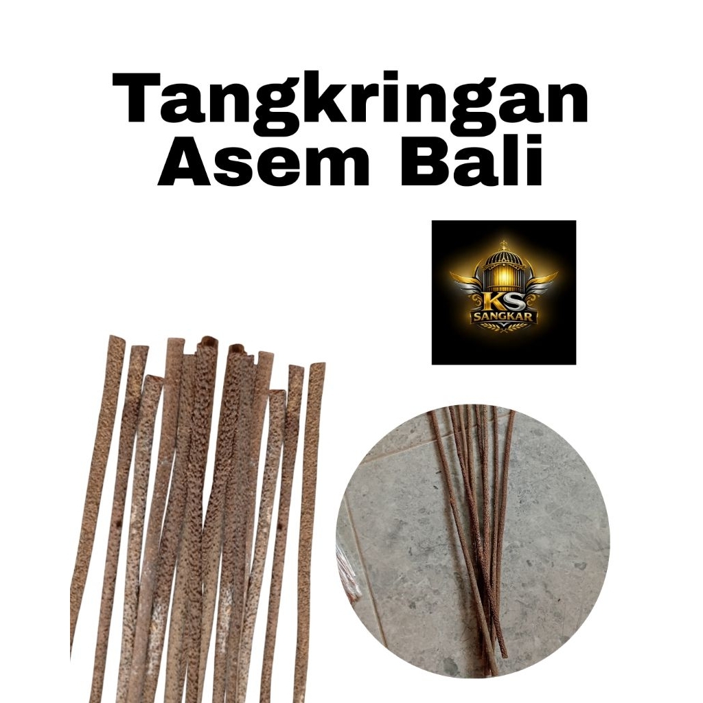 tangkringan asem bali super pleci kolibri asem bali burung kecil pangkringan burung kecil