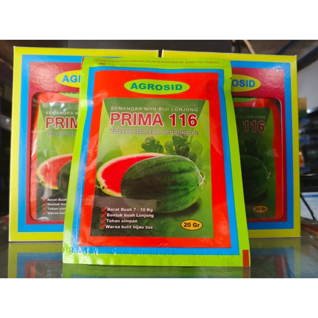 BENIH SEMANGKA PRIMA 116, SEMANGKA OVAL NON BIJI DARI PRIMASID