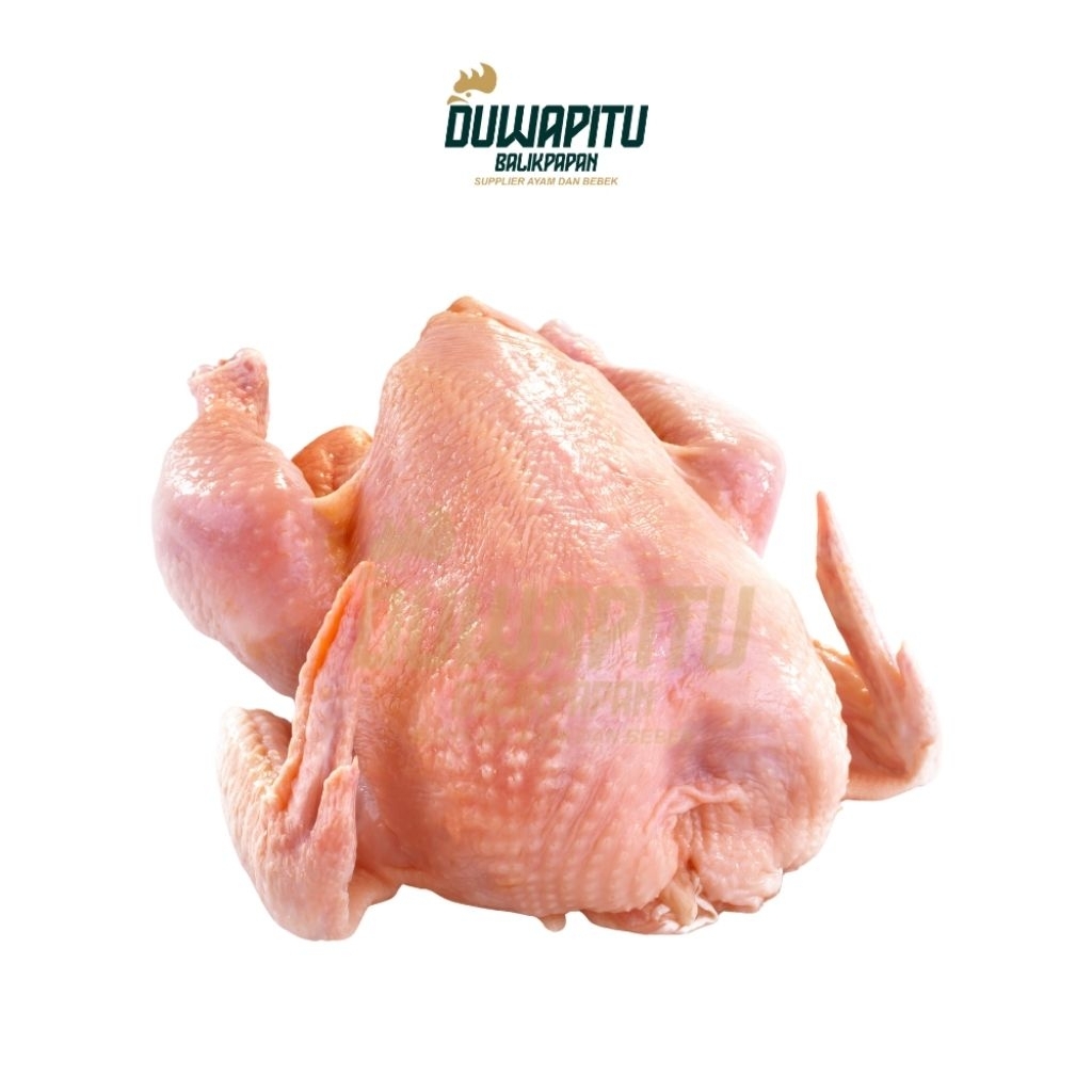 Ayam Potong Segar (Bukan Frozen) - Duwapitu Balikpapan