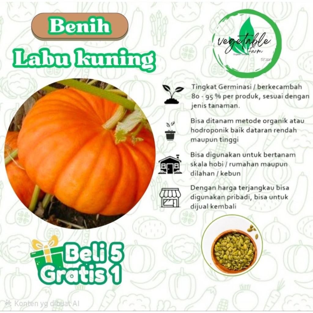2 Biji-Benih Labu Kuning Besar waluh