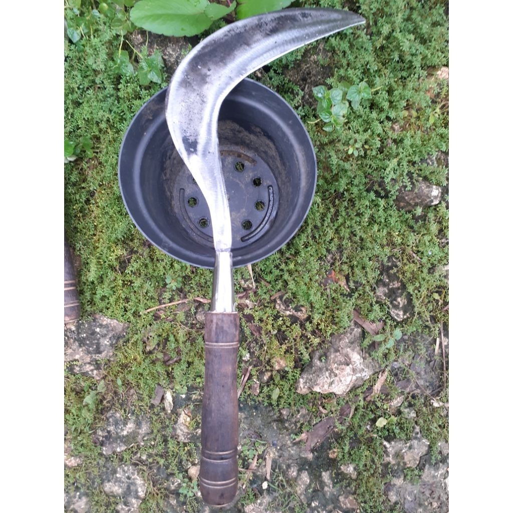 sabit rumput super tajam bahan baja asli pir