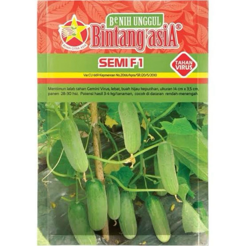 Timun Semi F1