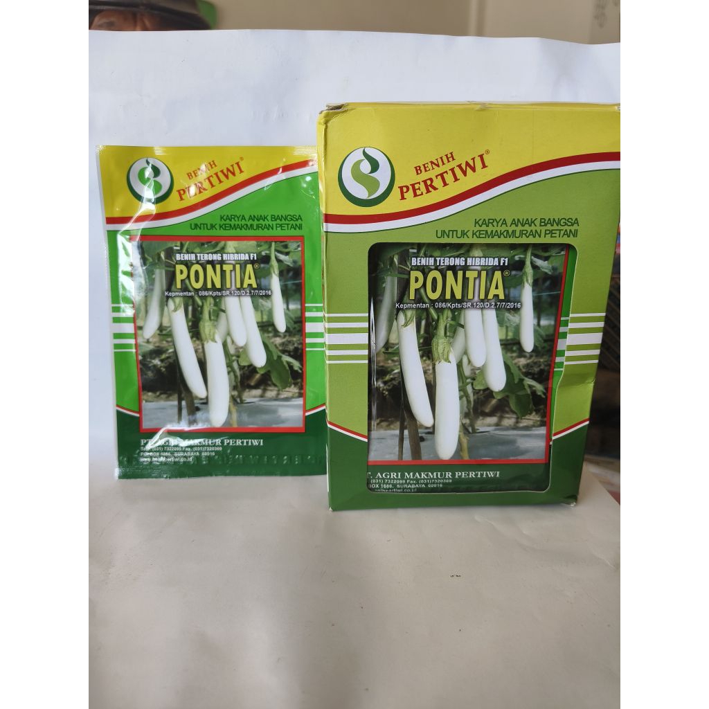 Benih Terong putih Pontia Benih Pertiwi 5 gram