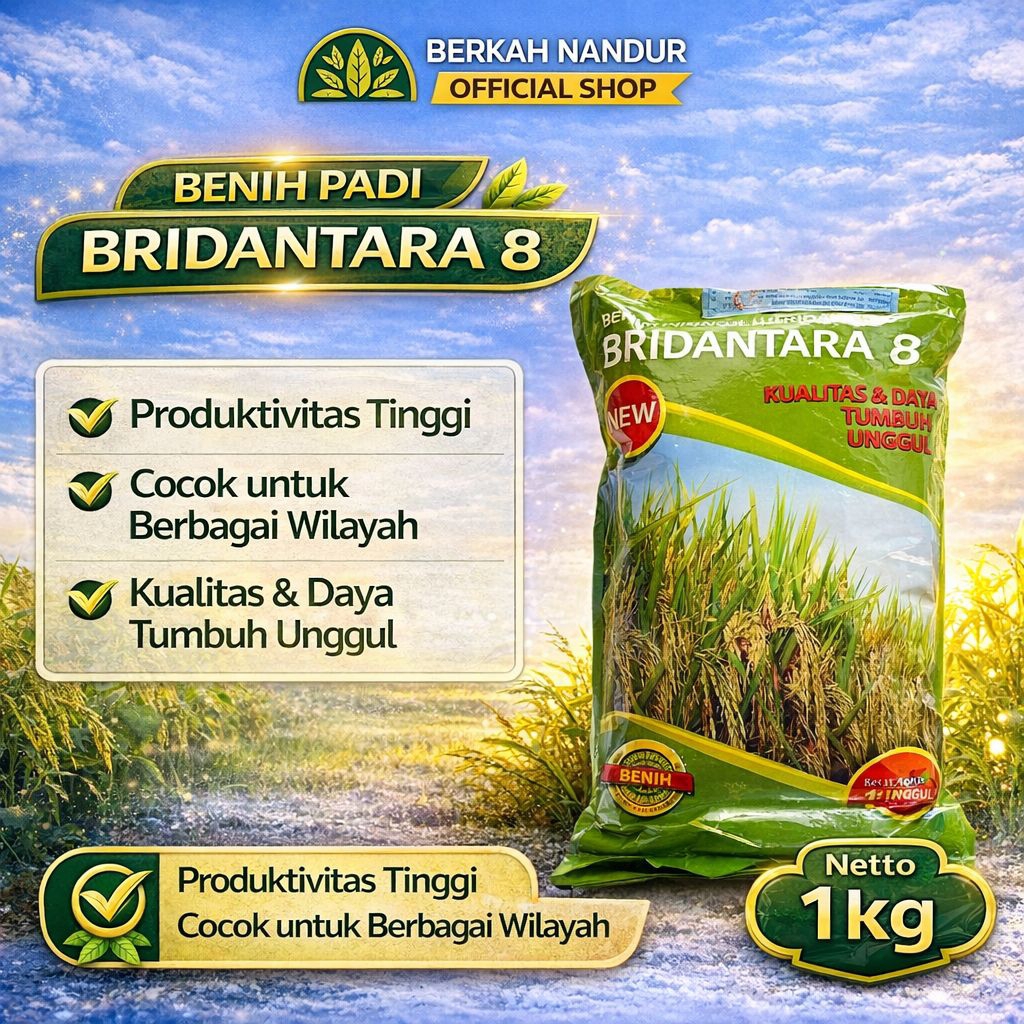 Benih Padi Hibrida Bridantara 8